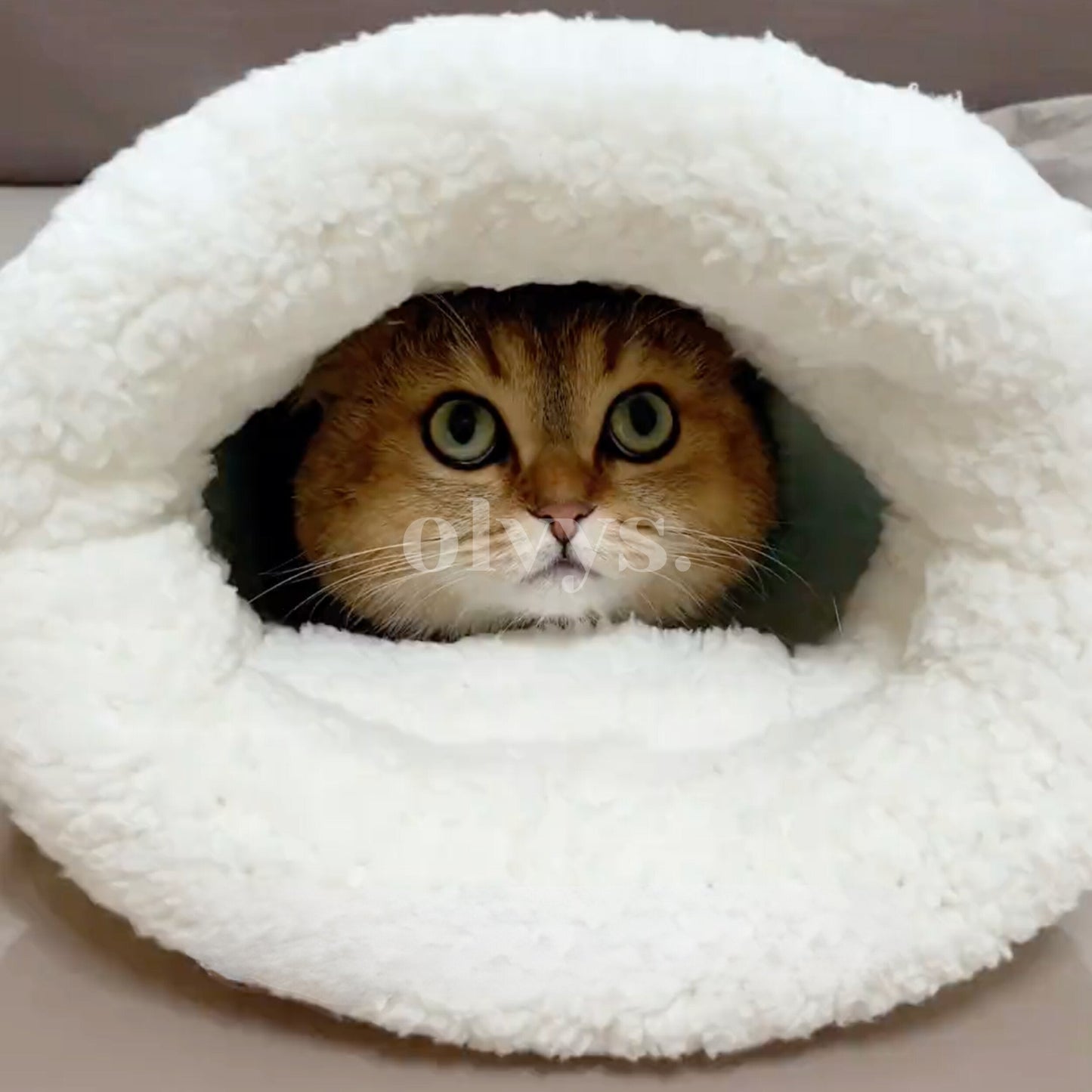 Calming Cat Sack