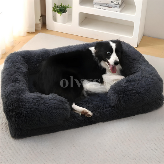 calming sofa