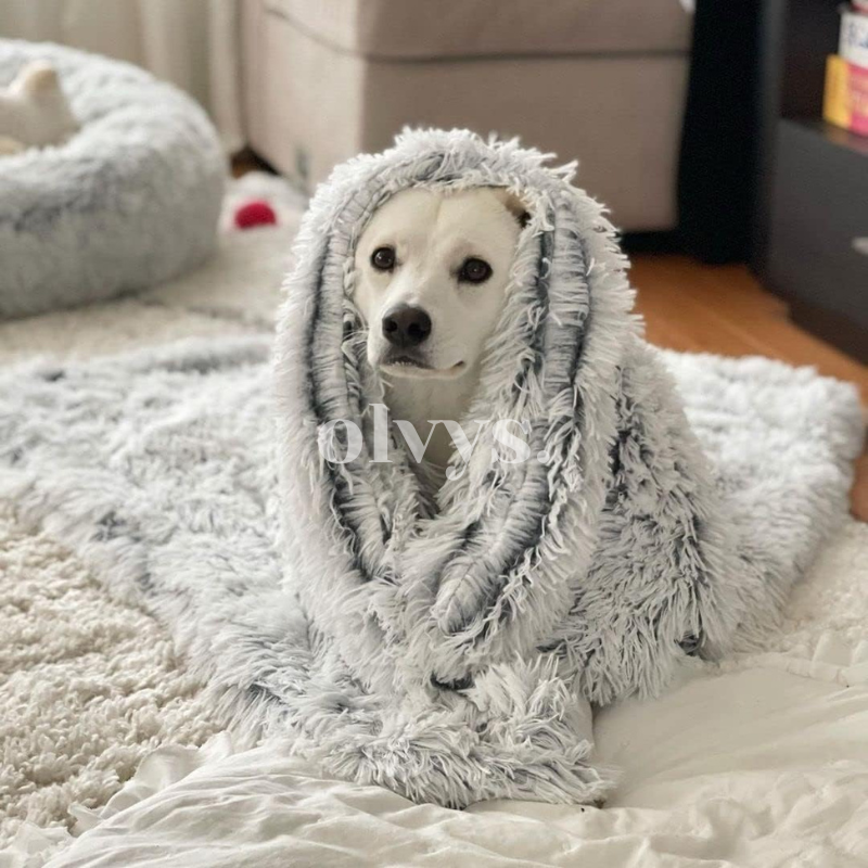 calming blanket