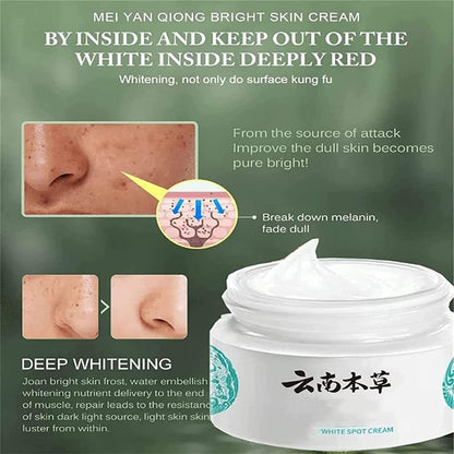 Japenese Melasma Cream