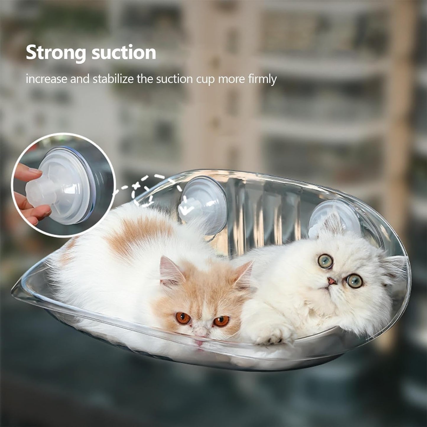 Cat Window Bed