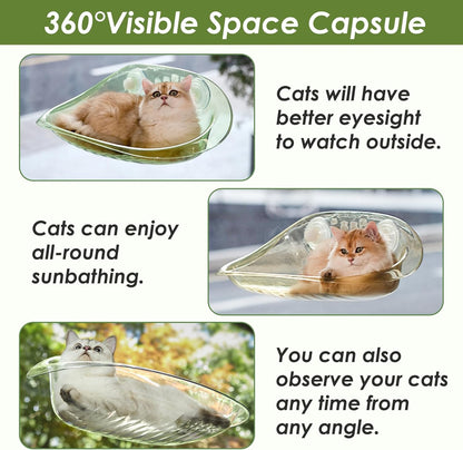 Cat Window Bed
