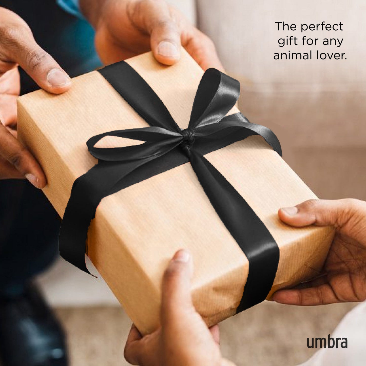 Adorable Munchkin Cat Ring Holder